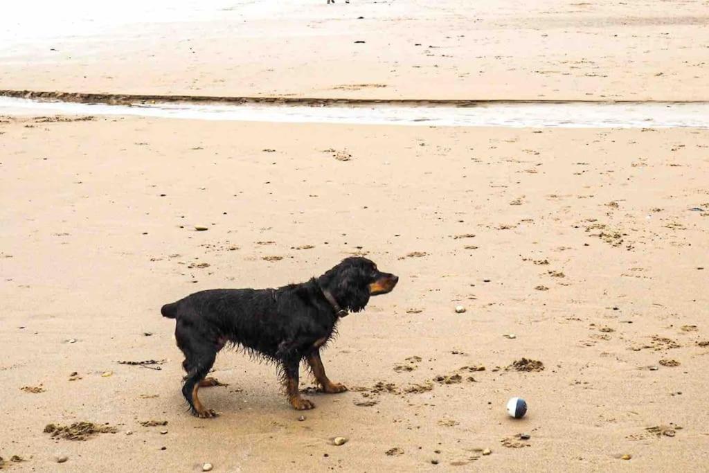 Large Cottage, Beach, Pubs Shops, Netflix, Bbq, Dog Friendly Hunmanby Exteriér fotografie