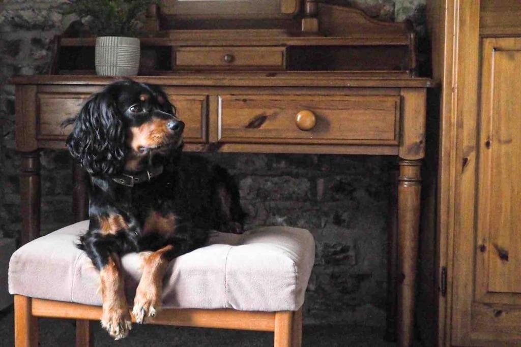 Large Cottage, Beach, Pubs Shops, Netflix, Bbq, Dog Friendly Hunmanby Exteriér fotografie